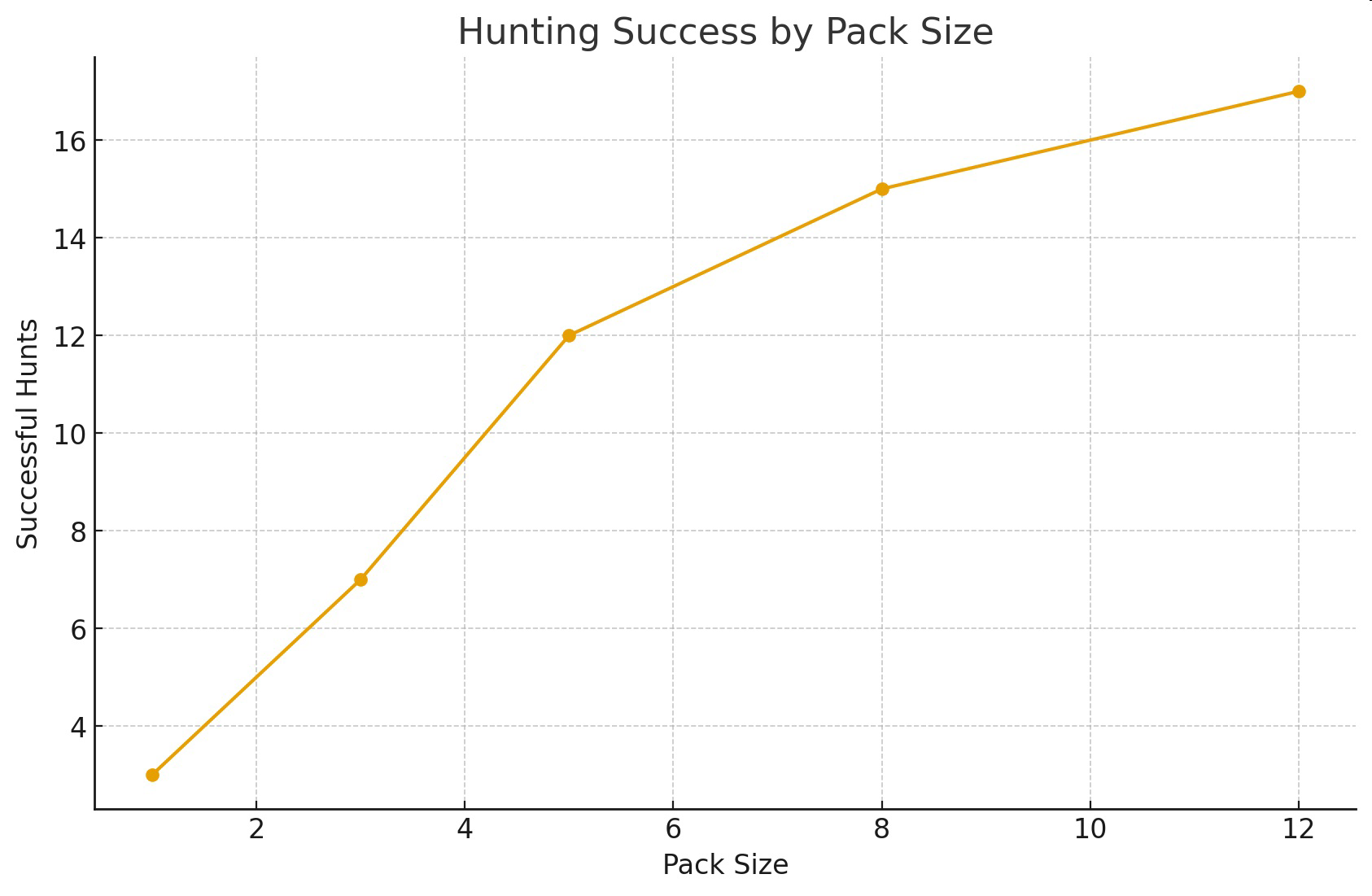 Line graph titled Hunting Success by Pack Size showing successful hunts increasing with pack size from 1 to 12.
