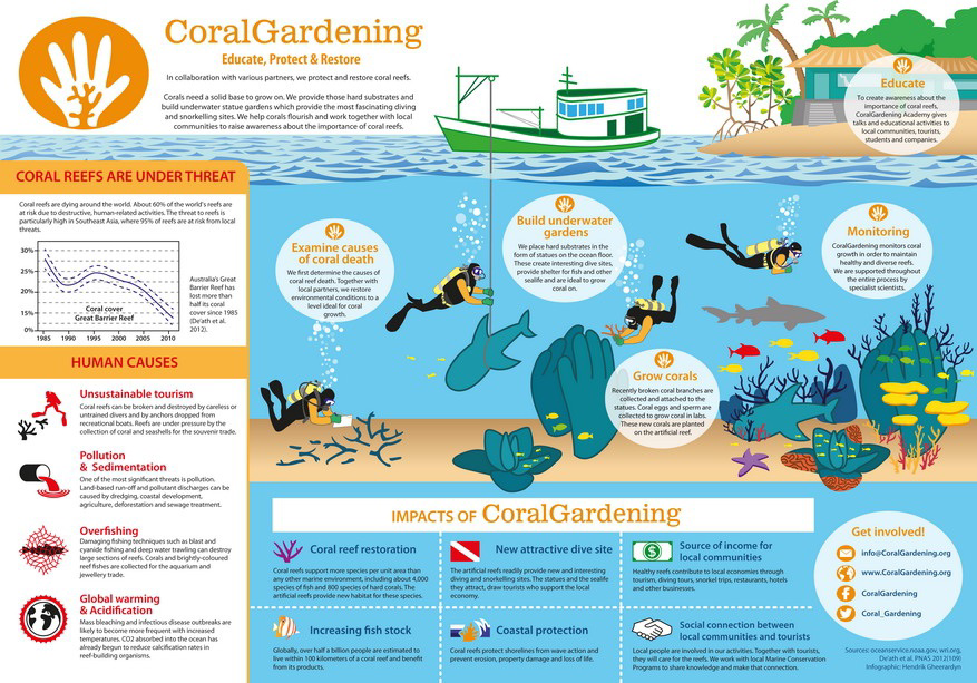 Infographic about coral reef restoration using coral gardening, showing threats, human causes, methods, and impacts.