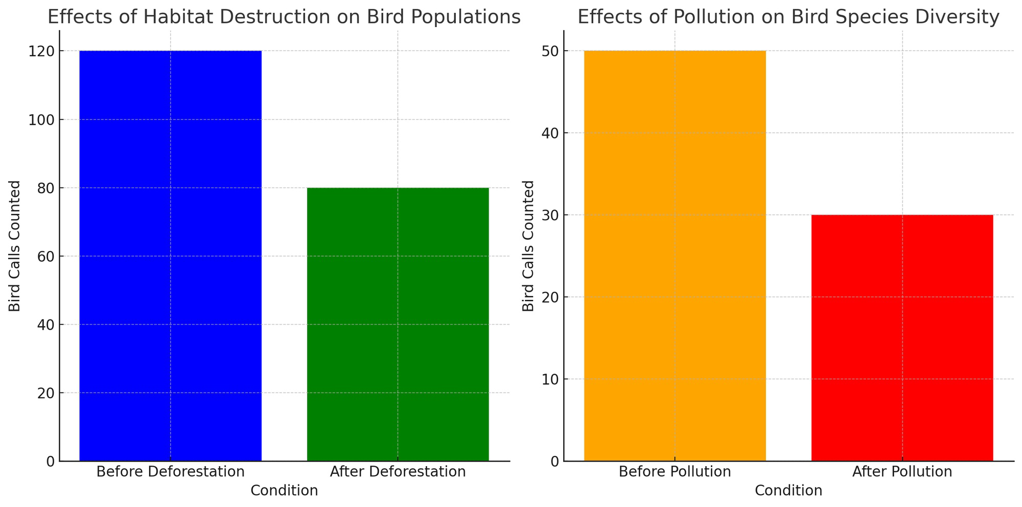 Bar graphs showing effects of habitat destruction on bird populations and effects of pollution on bird species diversity.
