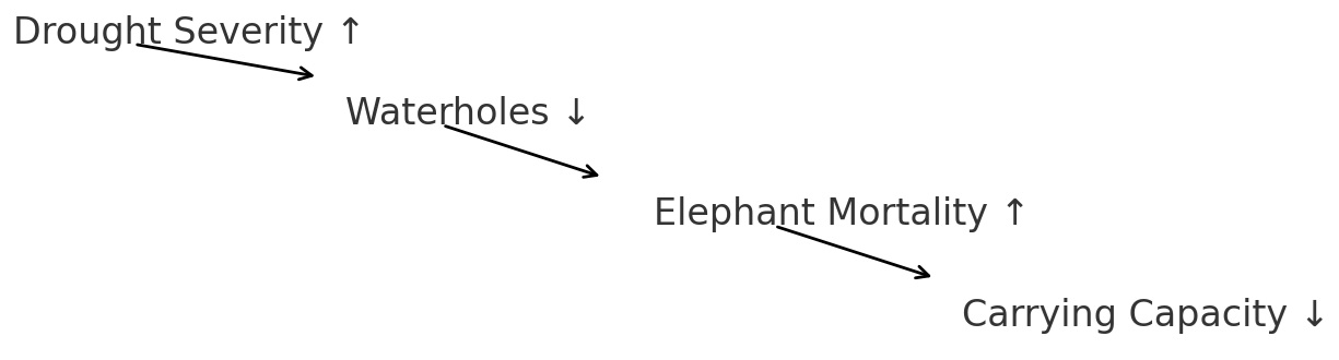 Diagram showing that as drought severity increases, waterholes decrease, elephant mortality increases, and carrying capacity decreases.