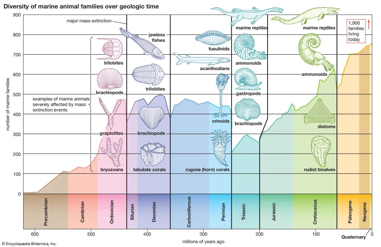Diversity of marine animal families over geologic time, showing number of marine families and examples of groups affected by mass extinction events across geologic periods.