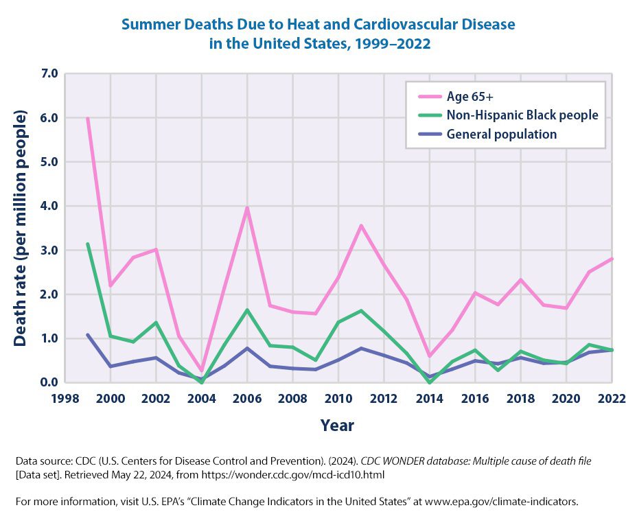 null Line graph titled 'Summer Deaths Due to Heat and Cardiovascular Disease in the United States, 1999–2022' showing death rates per million people for three groups: age 65 and older, non-Hispanic Black people, and the general population.