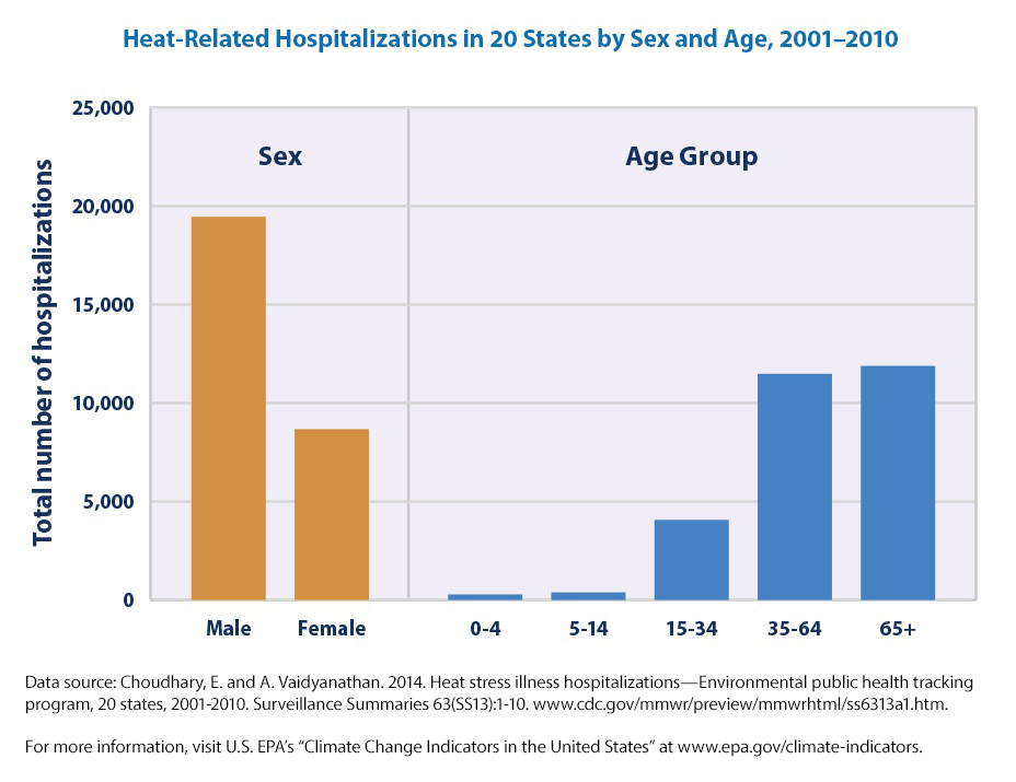 null Bar graph of heat-related hospitalizations in 20 states by sex and age, 2001–2010