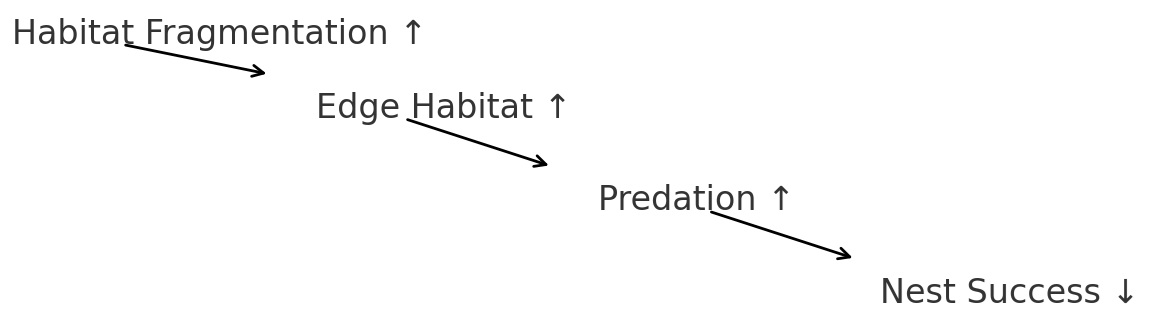 Flow diagram showing that increased habitat fragmentation leads to increased edge habitat, which leads to increased predation and decreased nest success.