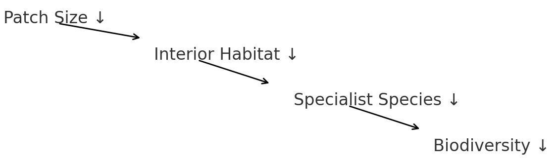 Diagram showing decreasing patch size leading to decreasing interior habitat, then decreasing specialist species, then decreasing biodiversity.