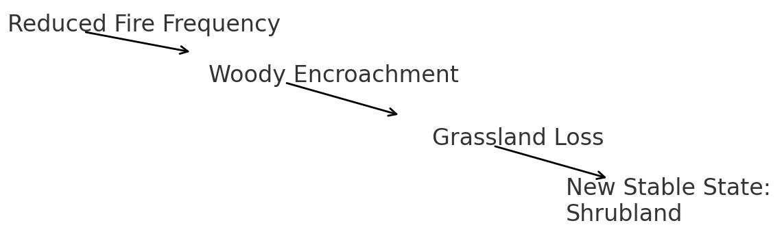 Flow diagram with arrows labeled Reduced Fire Frequency leading to Woody Encroachment, leading to Grassland Loss, leading to New Stable State: Shrubland.