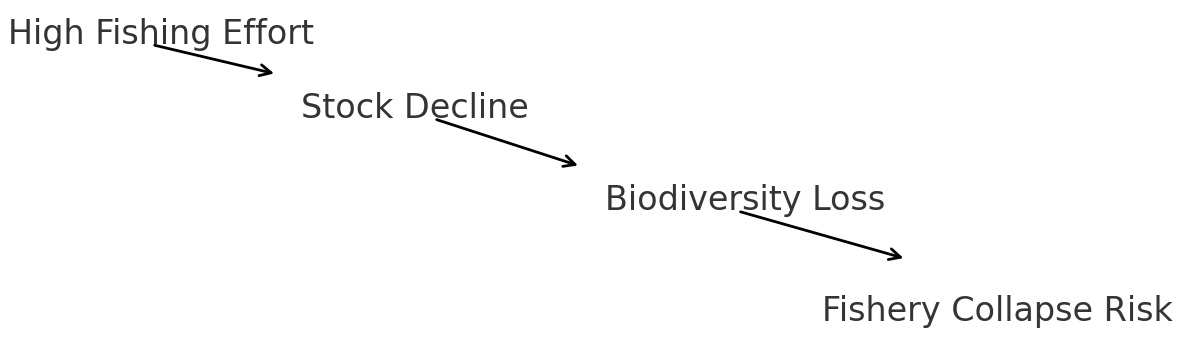 Diagram showing High Fishing Effort leading to Stock Decline, then Biodiversity Loss, and finally Fishery Collapse Risk.