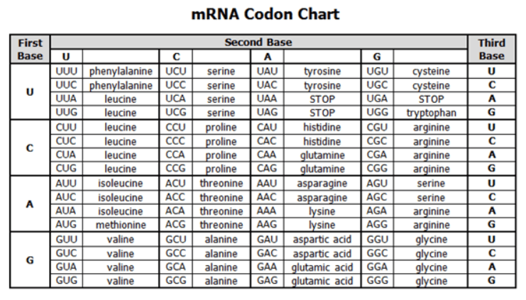 null mRNA Codon Chart