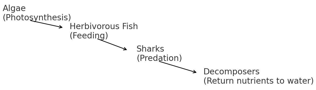 Flow diagram showing Algae to Herbivorous Fish to Sharks to Decomposers, with processes such as photosynthesis, feeding, predation, and return of nutrients to water.