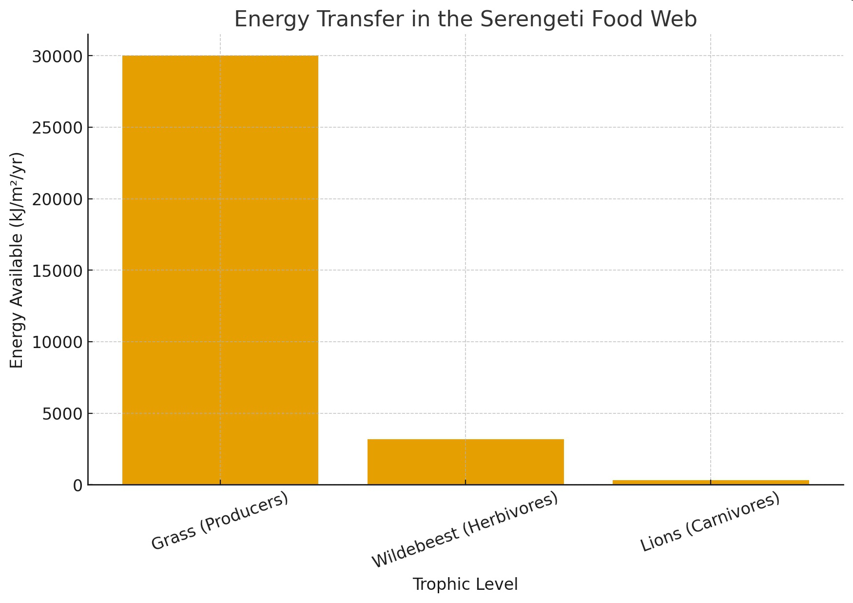 Bar graph titled 'Energy Transfer in the Serengeti Food Web' showing energy available at different trophic levels: Grass (Producers), Wildebeest (Herbivores), and Lions (Carnivores).