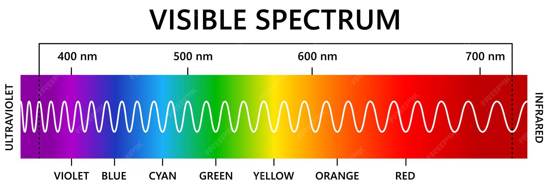 Visible spectrum diagram showing wavelengths of different colors of light