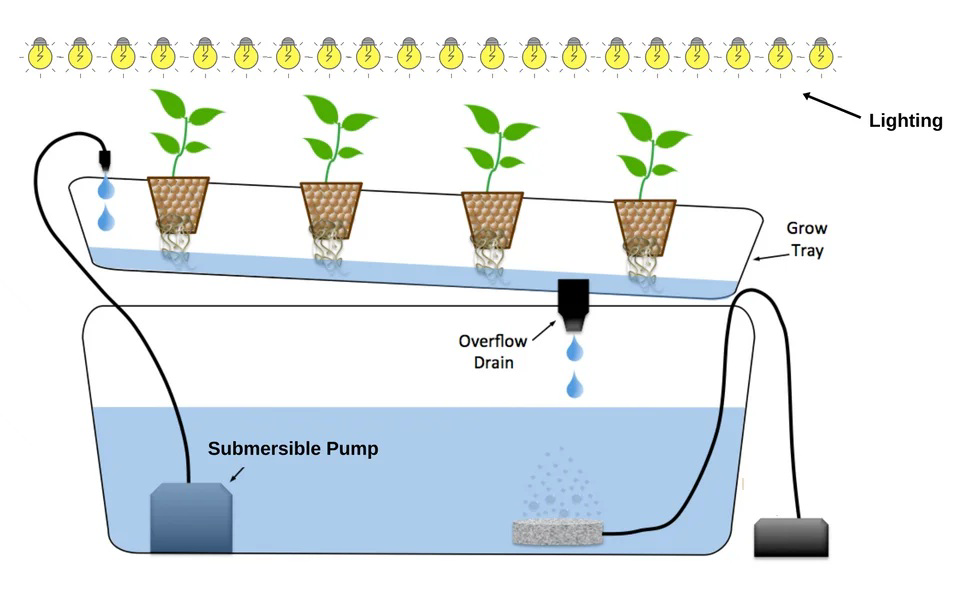 Diagram of a hydroponics system showing plants in a grow tray, lighting, overflow drain, and submersible pump.