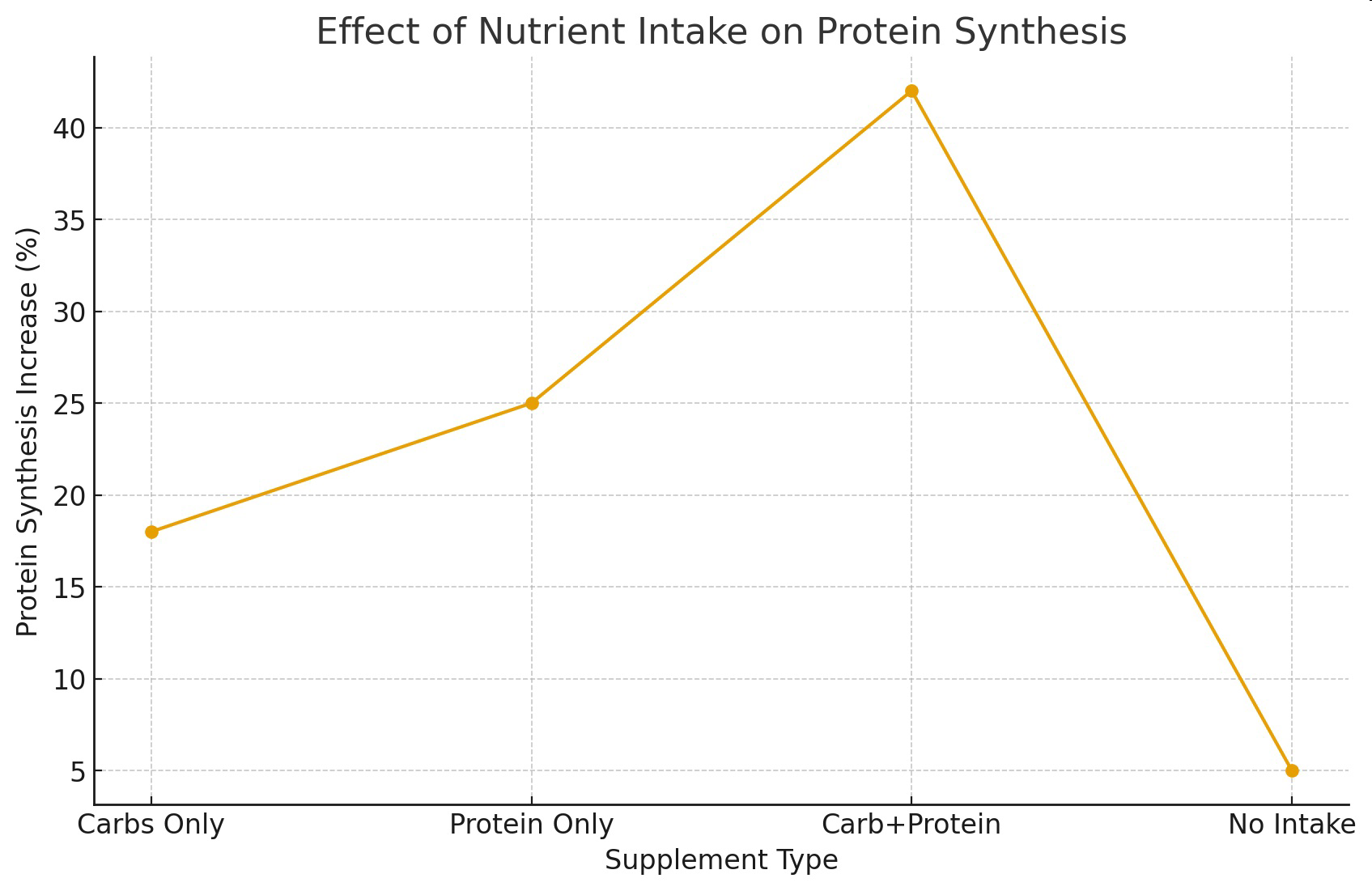 Line graph showing the effect of nutrient intake on protein synthesis for different supplement types