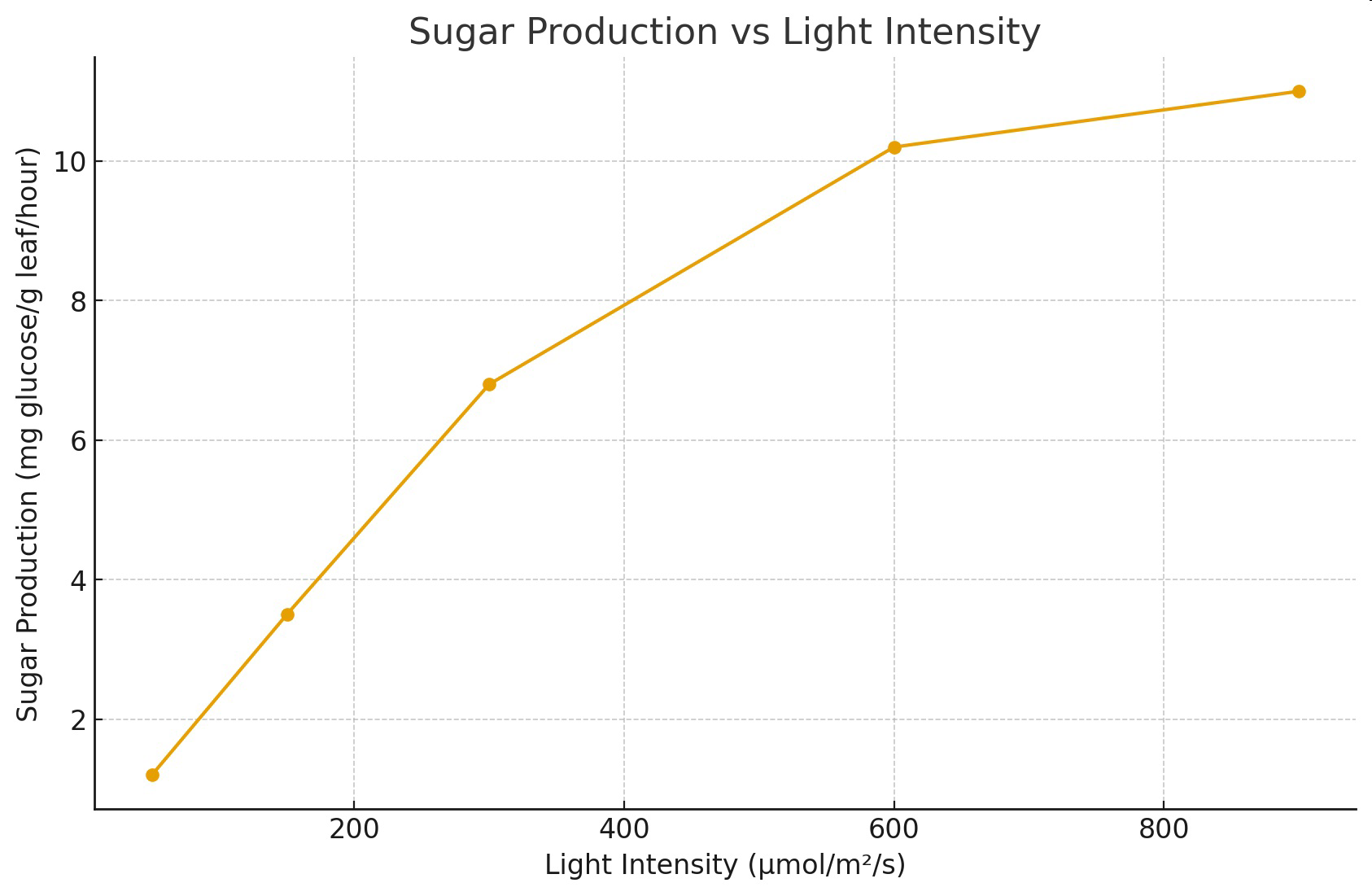Line graph titled Sugar Production vs Light Intensity showing sugar production increasing with higher light intensity.