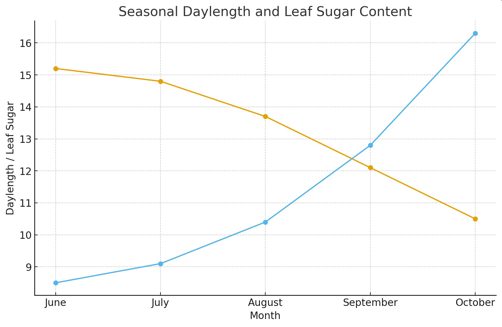 Seasonal Daylength and Leaf Sugar Content line graph for months June to October