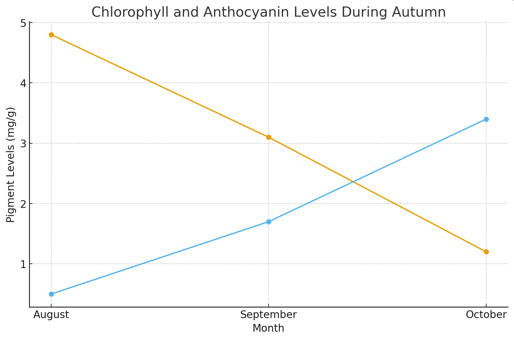 Graph titled 'Chlorophyll and Anthocyanin Levels During Autumn' showing pigment levels for August, September, and October.