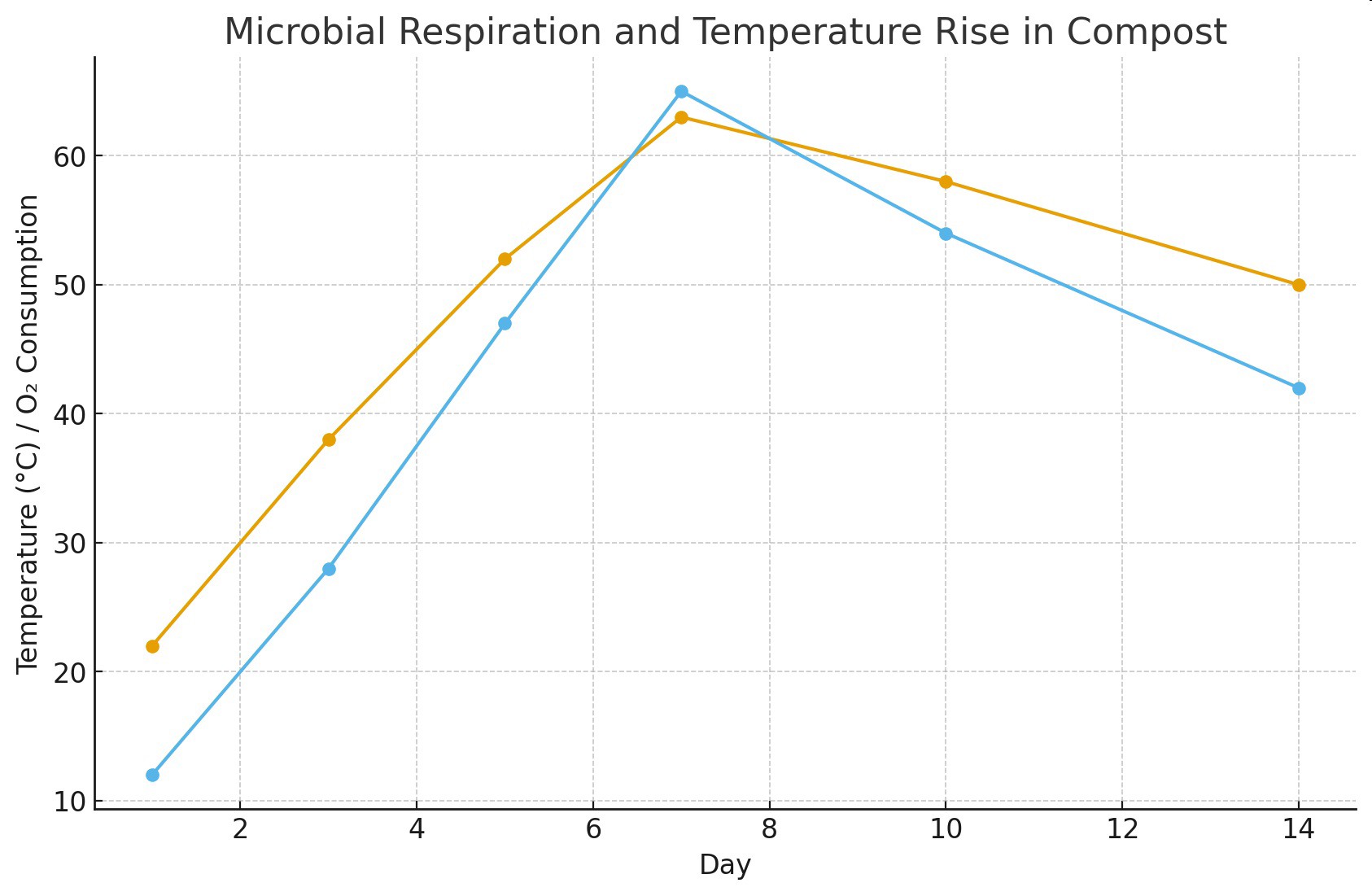 Graph titled Microbial Respiration and Temperature Rise in Compost showing changes in temperature and oxygen consumption over time.