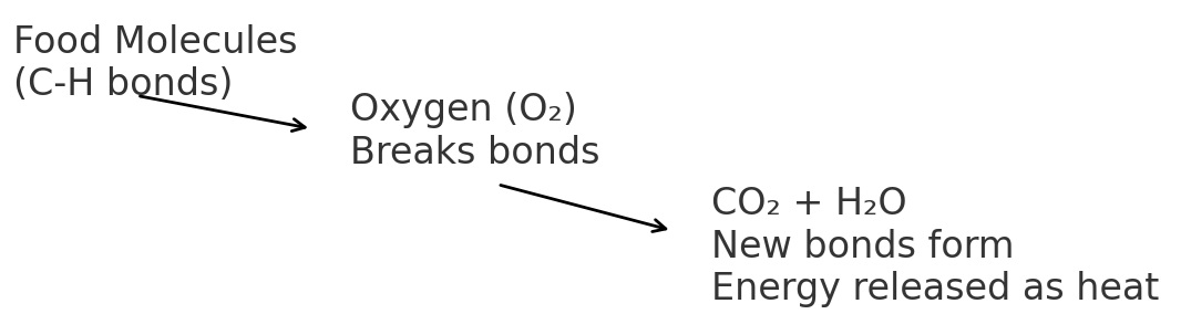 Diagram showing food molecules with C-H bonds reacting with oxygen, breaking bonds to form CO2 and H2O, with new bonds forming and energy released as heat.