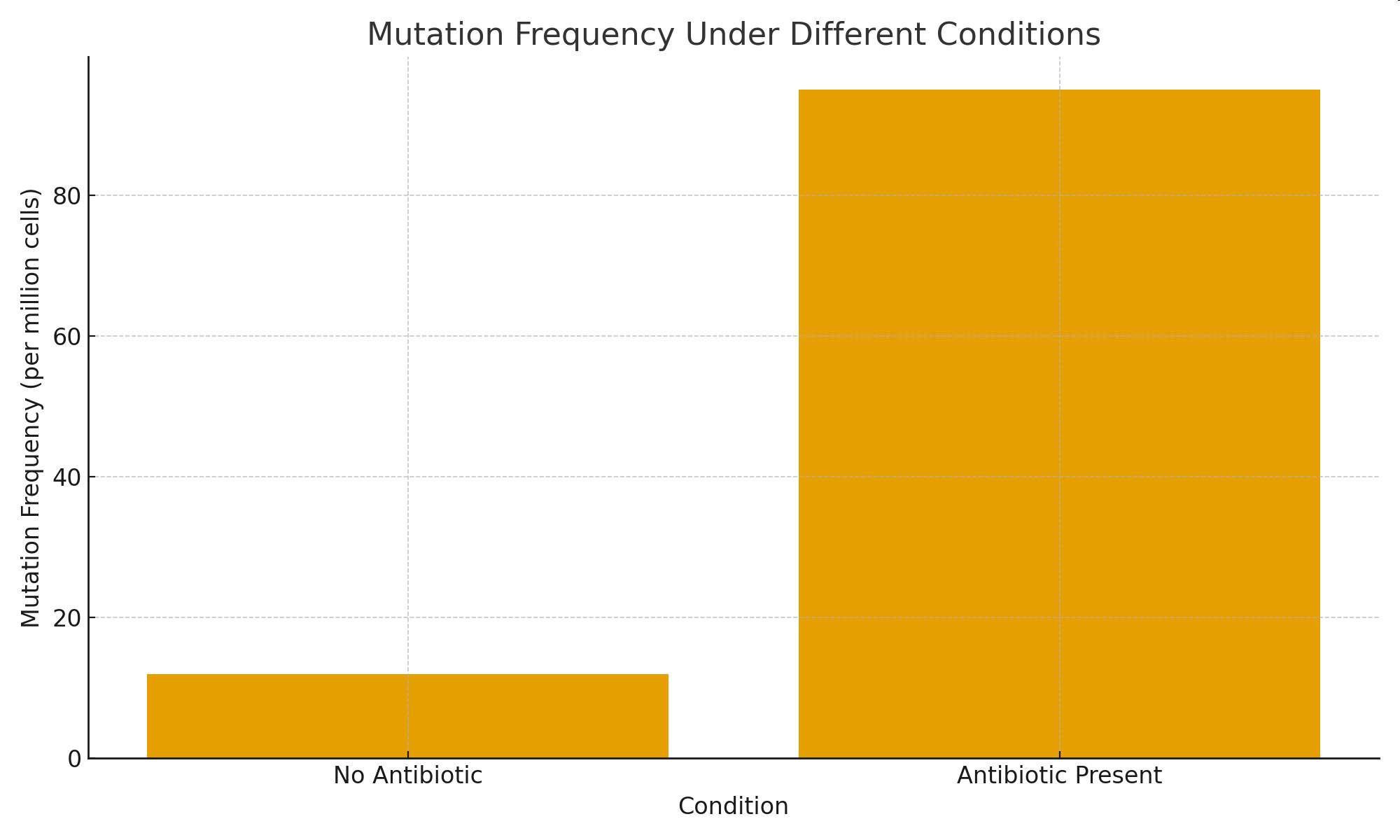Graph showing mutation frequency under different conditions