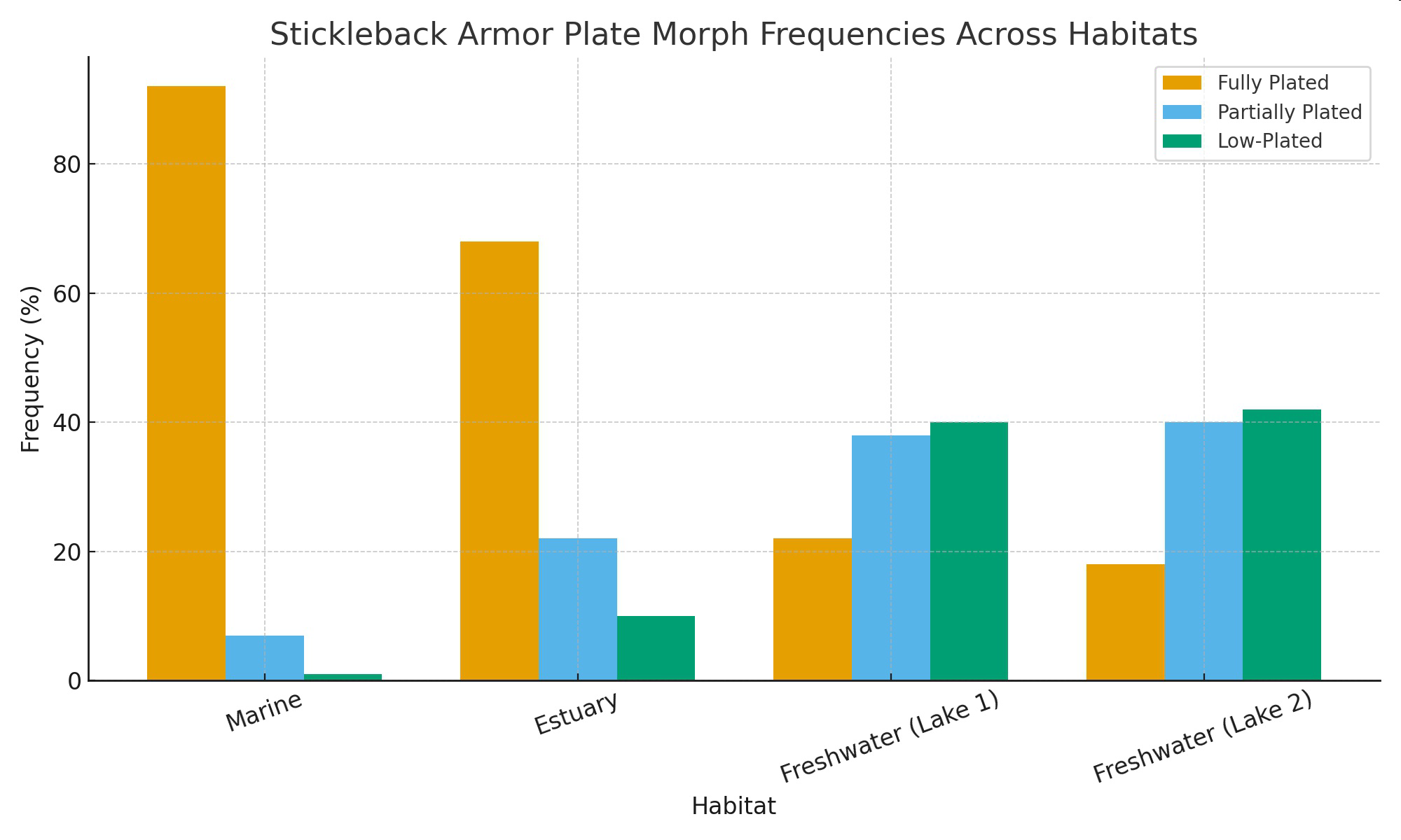 Bar graph titled 'Stickleback Armor Plate Morph Frequencies Across Habitats' showing frequencies of fully plated, partially plated, and low-plated morphs in Marine, Estuary, Freshwater (Lake 1), and Freshwater (Lake 2) habitats.