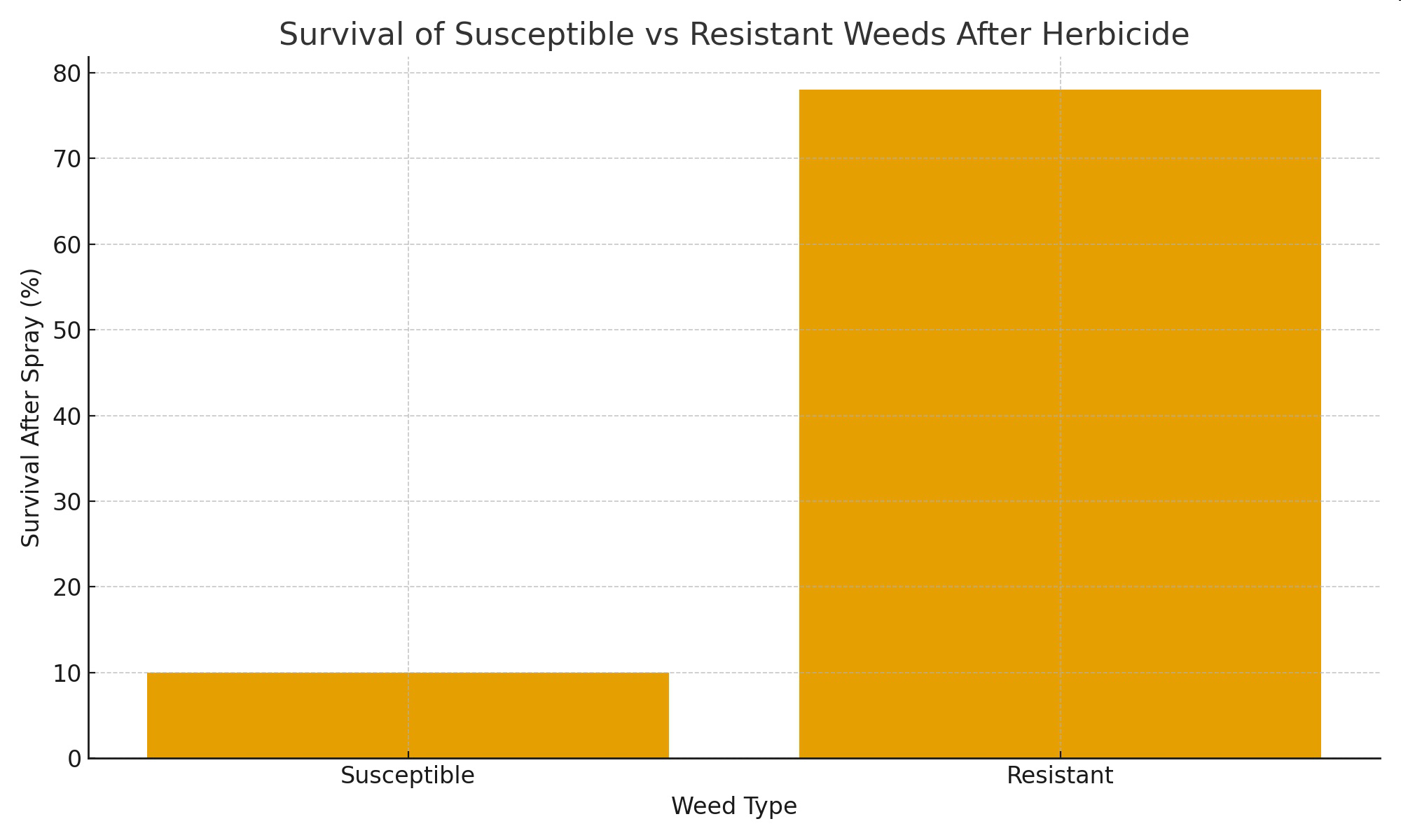 Bar graph titled 'Survival of Susceptible vs Resistant Weeds After Herbicide' showing survival after spray for susceptible and resistant weed types.