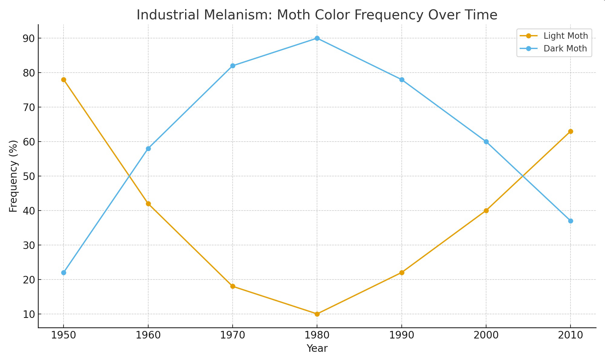 null Industrial Melanism: Moth Color Frequency Over Time line graph