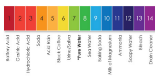pH scale from 1 to 14 with common substances labeled
