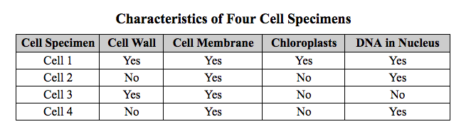 Table titled Characteristics of Four Cell Specimens showing presence or absence of cell wall, cell membrane, chloroplasts, and DNA in nucleus for Cell 1 through Cell 4.