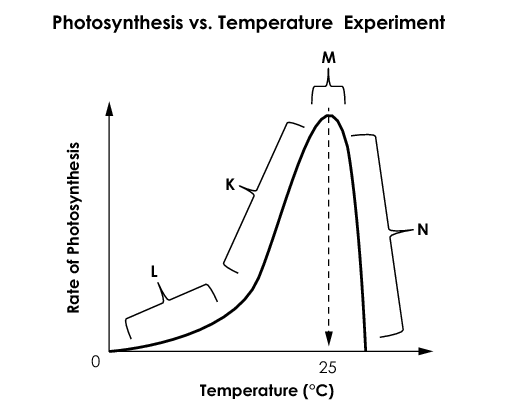 Graph titled Photosynthesis vs. Temperature Experiment showing rate of photosynthesis at different temperature ranges labeled L, K, M, and N.