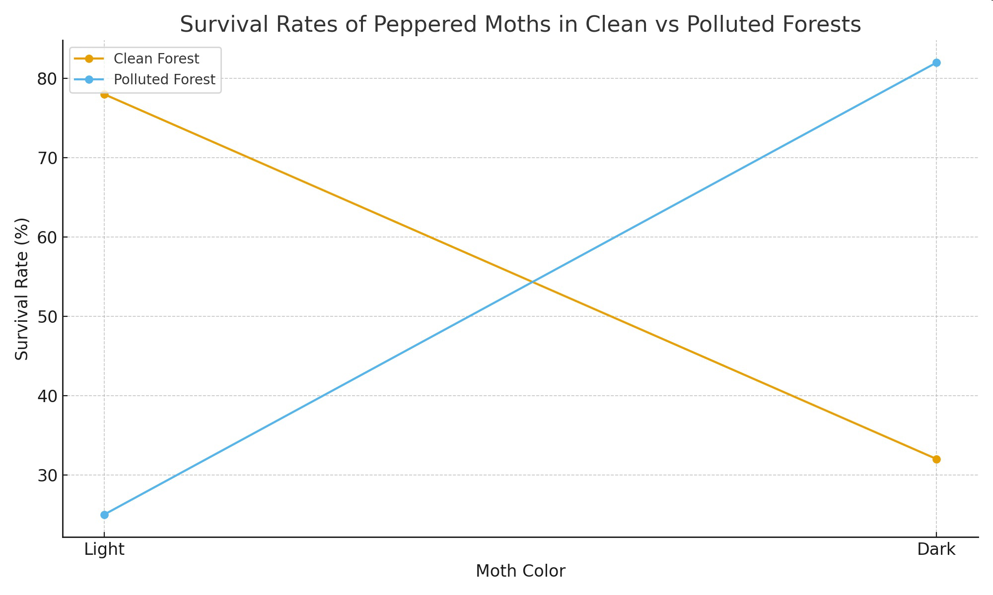 Survival rates of peppered moths in clean versus polluted forests