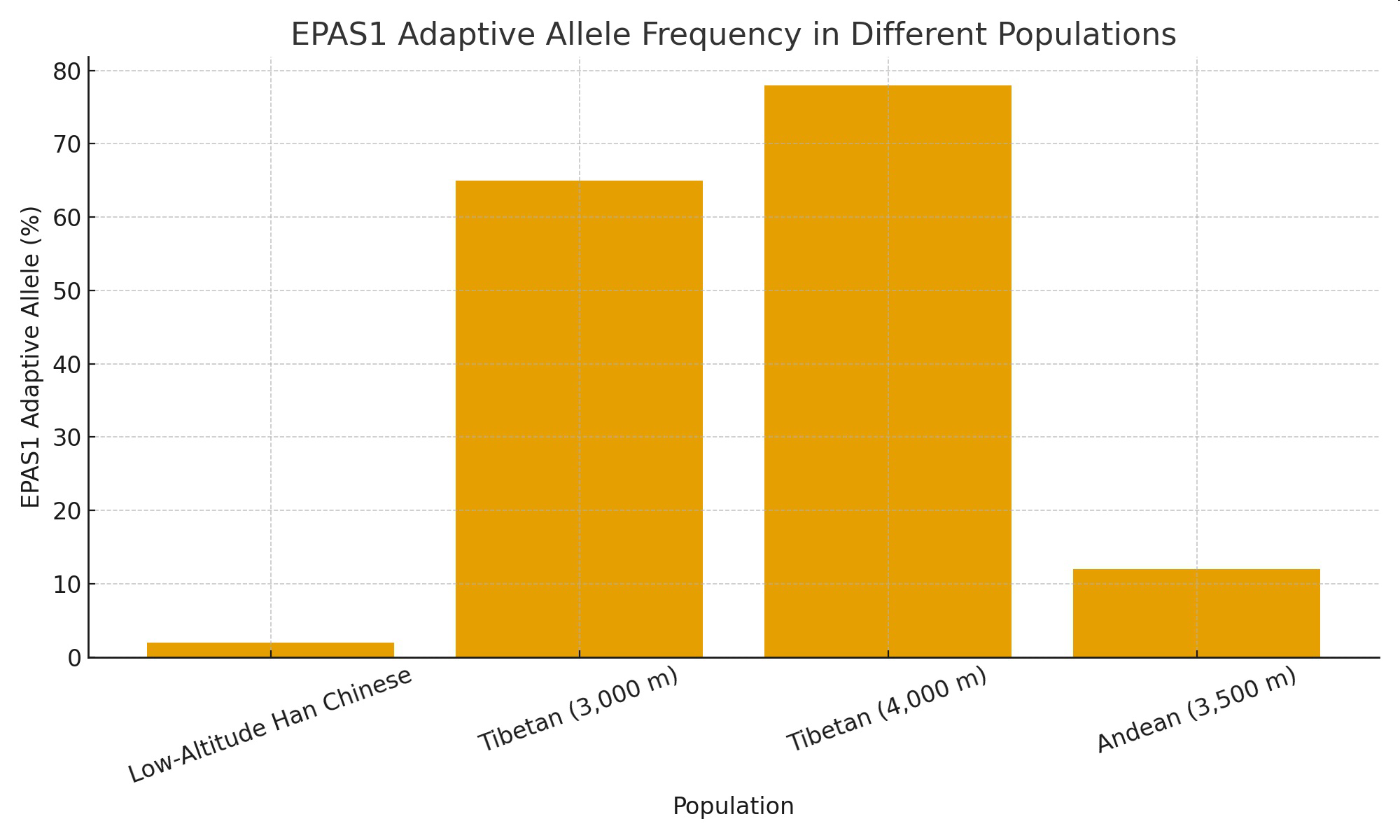 EPAS1 Adaptive Allele Frequency in Different Populations
