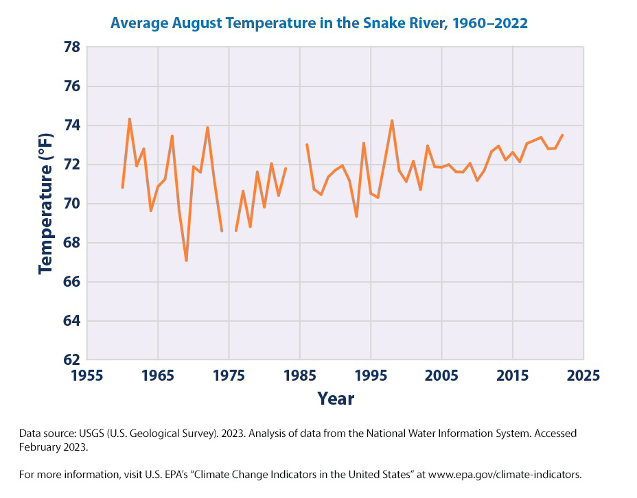Average August Temperature in the Snake River, 1960–2022