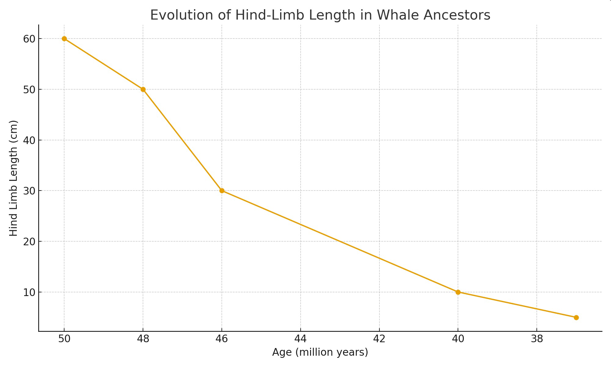 Evolution of Hind-Limb Length in Whale Ancestors