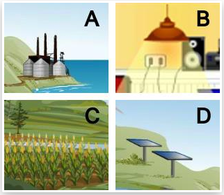 null Four labeled pictures: A power station by water, B indoor light bulb, C corn field, D solar panels on a hill.