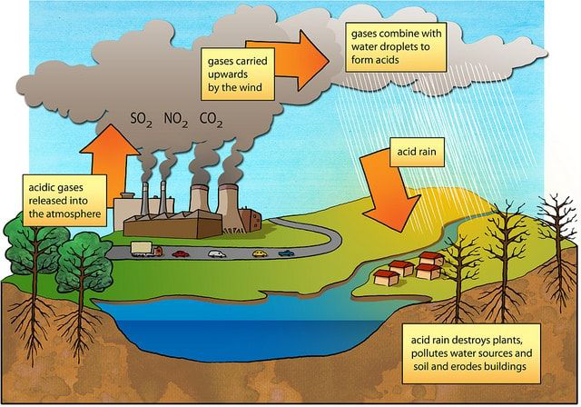 Diagram showing formation and effects of acid rain