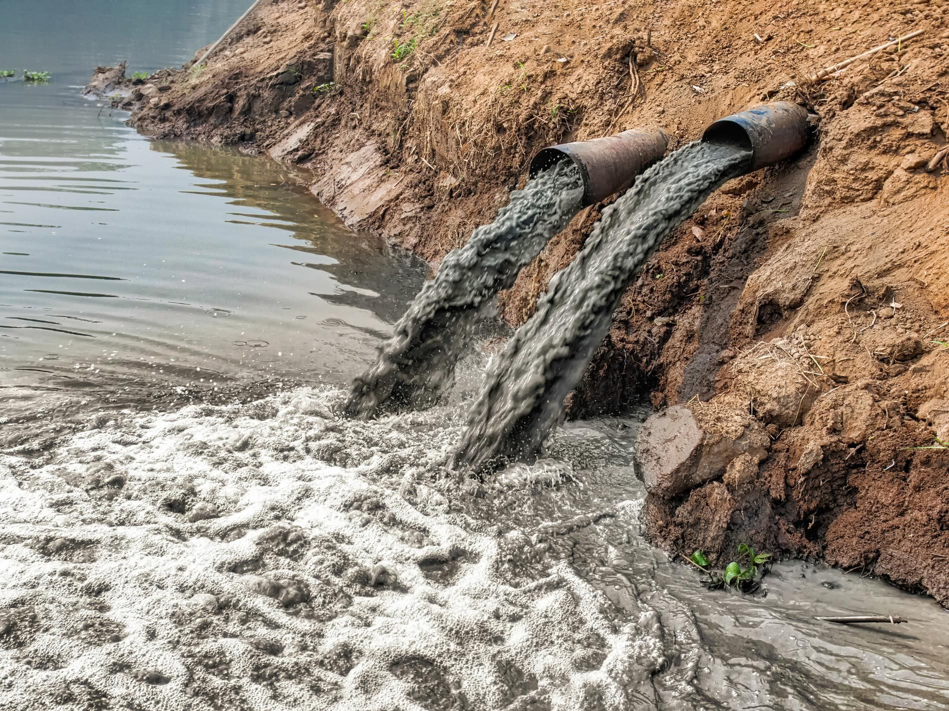 Polluted water flowing from pipes into a body of water
