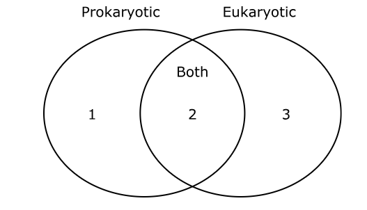 null Venn diagram with circles labeled Prokaryotic and Eukaryotic. The left circle has region 1, the overlap is labeled Both with region 2, and the right circle has region 3.