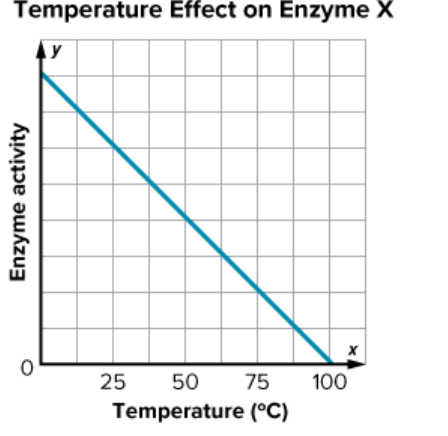 Graph titled 'Temperature Effect on Enzyme X' showing enzyme activity decreasing linearly as temperature increases from 0°C to 100°C.