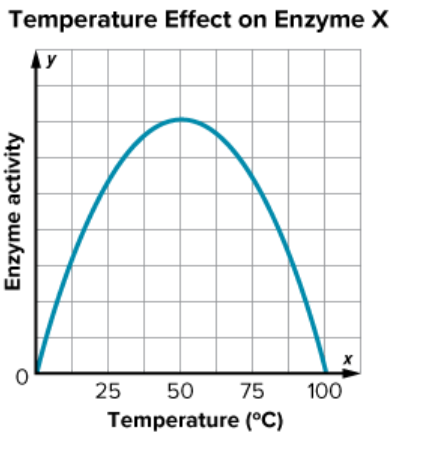 Graph titled 'Temperature Effect on Enzyme X' showing enzyme activity increasing to a peak around 50°C and then decreasing as temperature continues to increase.