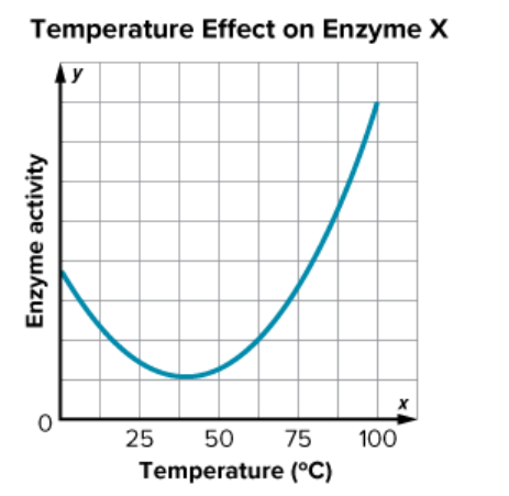 Graph titled 'Temperature Effect on Enzyme X' showing enzyme activity decreasing at first and then increasing sharply as temperature increases.