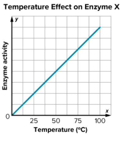 Graph titled 'Temperature Effect on Enzyme X' showing enzyme activity increasing linearly as temperature increases from 0°C to 100°C.